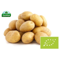 Ziemniak wczesny BIO 1 kg #