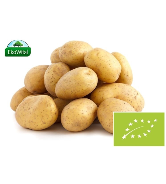 Ziemniak wczesny BIO 1 kg #