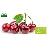 Czereśnia BIO 1 kg (SPRZEDAŻ PO 5 KG)