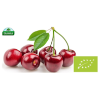 Czereśnia BIO 1 kg (SPRZEDAŻ PO 5 KG)