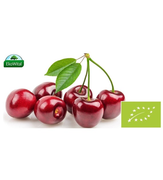 Czereśnia BIO 1 kg (SPRZEDAŻ PO 5 KG)