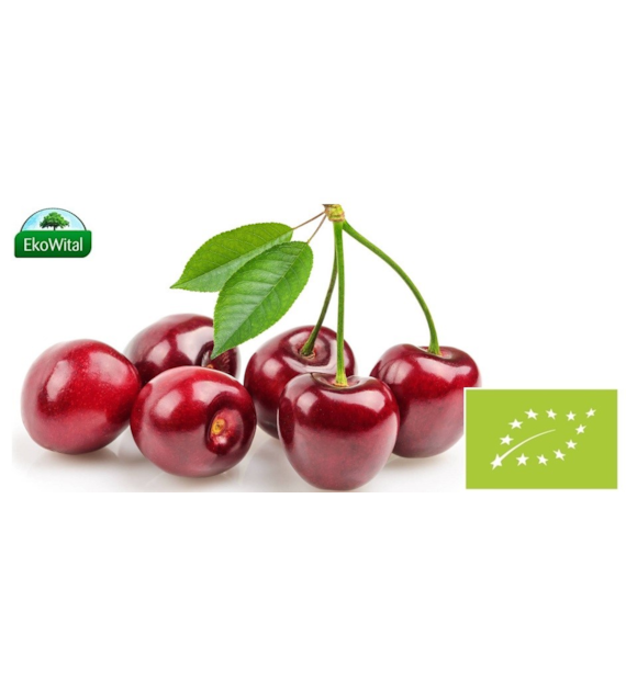 Czereśnia BIO 1 kg (SPRZEDAŻ PO 5 KG)