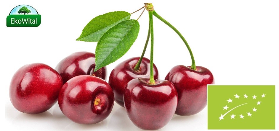 Czereśnia BIO 1 kg (SPRZEDAŻ PO 5 KG)