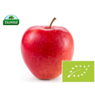 Jabłka na sok BIO 1 kg (SPRZEDAŻ PO 5 KG)