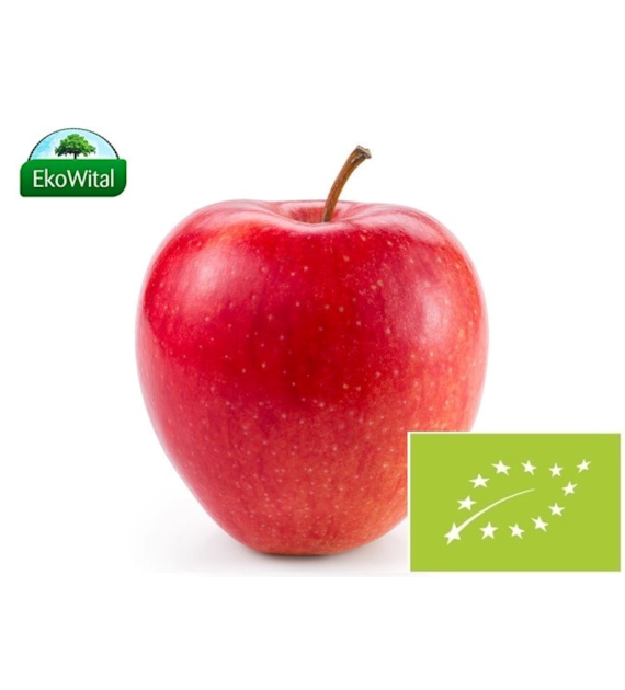 Jabłka na sok BIO 1 kg (SPRZEDAŻ PO 5 KG)