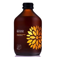 Kombucha Yerba Mate BIO 330 ml