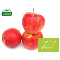 Jabłka Szampion BIO 1 kg #