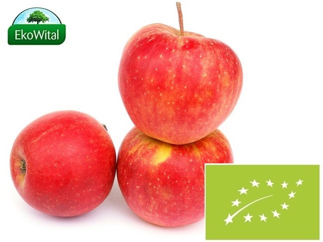 Jabłka Szampion BIO 1 kg #