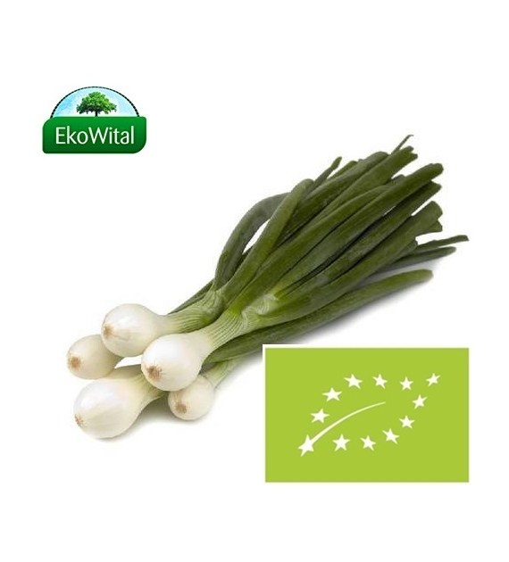 Cebulka młoda ze szczypiorkiem BIO 1 szt