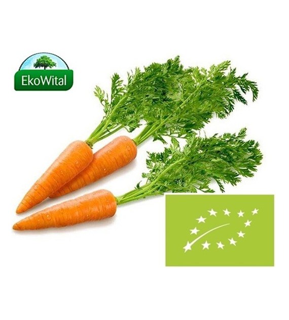 Marchew BIO 1 pęczek