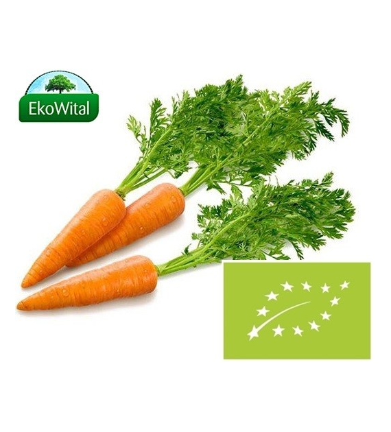 Marchew BIO 1 pęczek