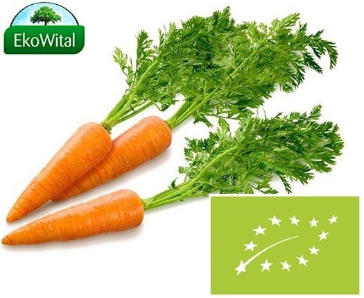 Marchew BIO 1 pęczek
