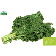 Jarmuż BIO 1 szt