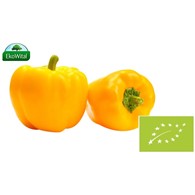 Papryka żółta BIO 1 kg