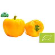 Papryka żółta BIO 1 kg