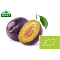 Śliwka BIO 1 kg