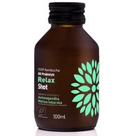 Kombucha BIO Probiotyk Relax Shot 100ml