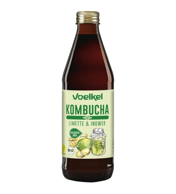 Kombucha limonka-imbir BIO 330 ml