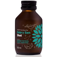 Kombucha Shot Dobry Sen 100ml