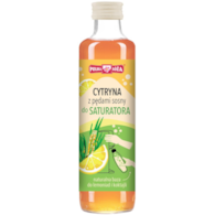 Syrop cytryna z pędami sosny 250 ml