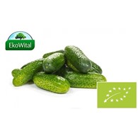 Ogórek gruntowy BIO 1 kg #
