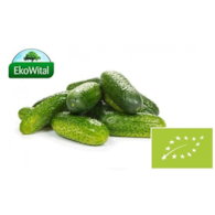Ogórek gruntowy BIO 1 kg #
