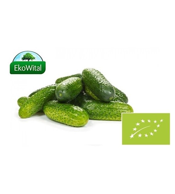 Ogórek gruntowy BIO 1 kg #