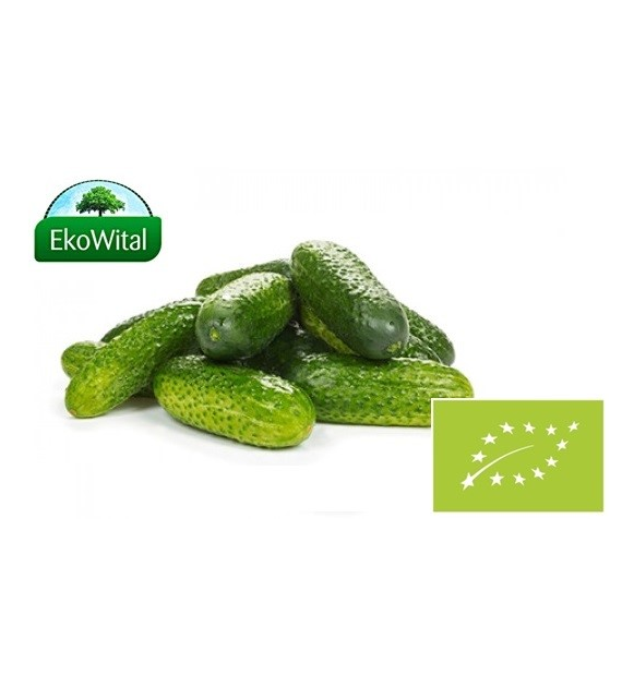Ogórek gruntowy BIO 1 kg #
