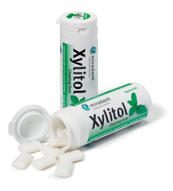 Guma do żucia - mięta kędzierzawa 30szt, 30g
