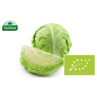 Kapusta biała BIO 1 szt #
