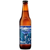 Kombucha Yerba Mate 330 ml but.