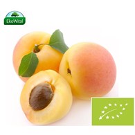 Morela BIO IMPORT 1 kg