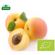 Morela BIO IMPORT 1 kg