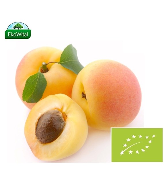 Morela BIO IMPORT 1 kg