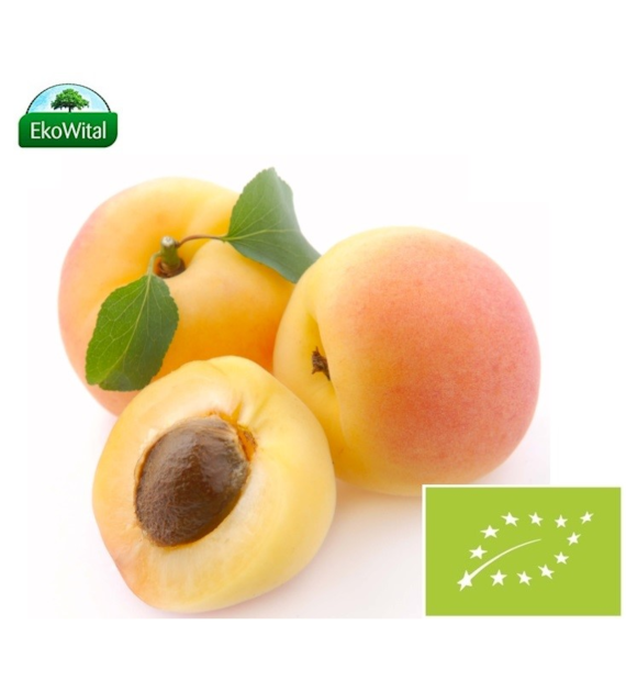 Morela BIO IMPORT 1 kg