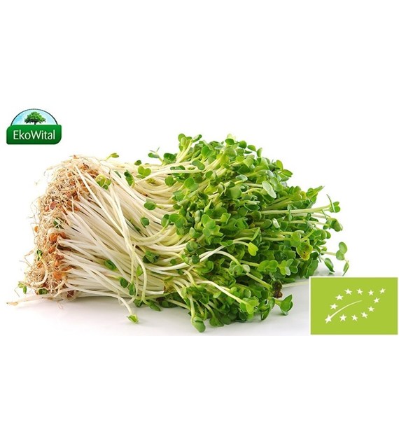 Rzeżucha BIO IMPORT 1 szt