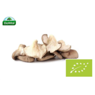 Grzyb BOCZNIAK BIO 200 g #