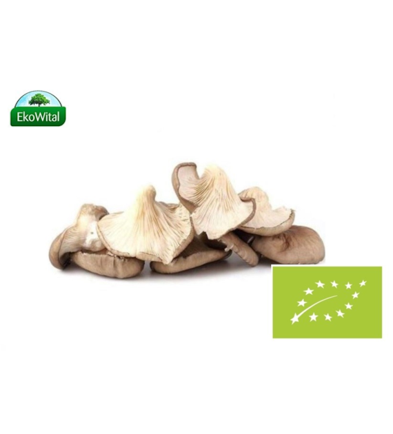 Grzyb BOCZNIAK BIO 200 g #